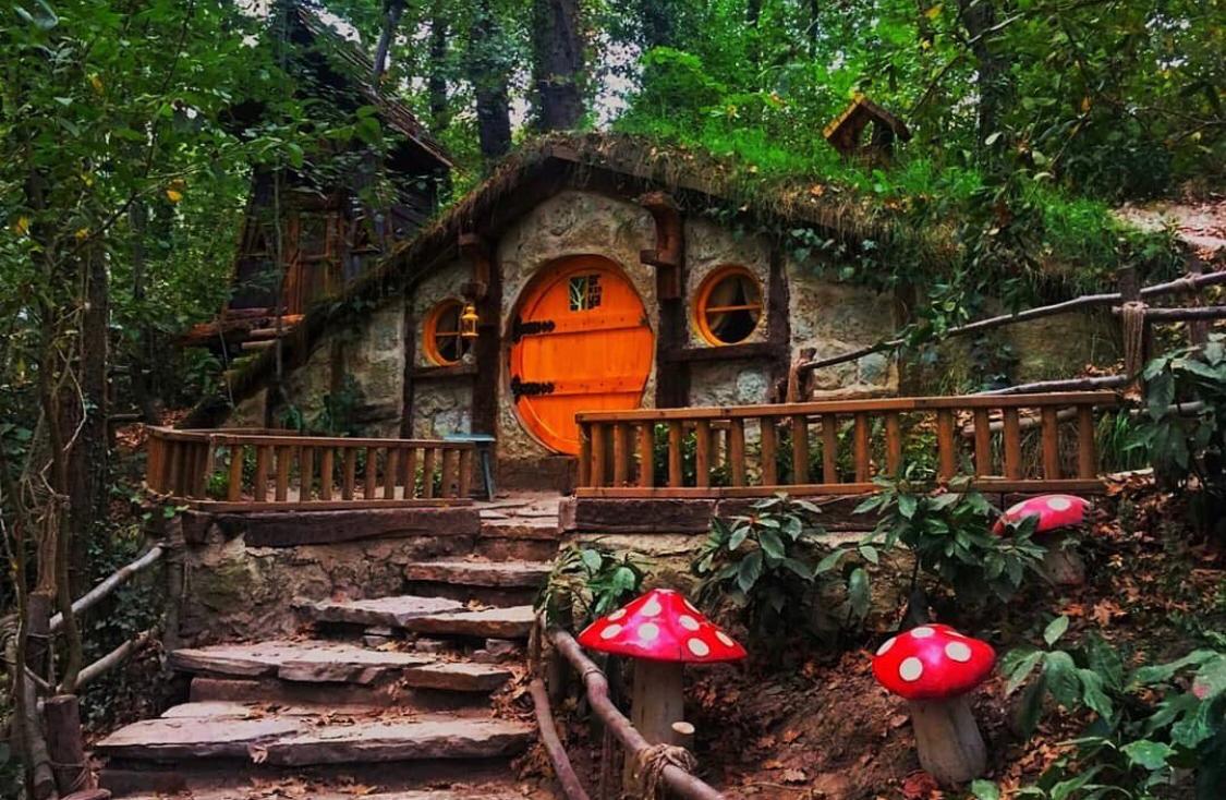 KARAMAN ÇIKIŞLI GÜNÜ BİRLİK MAŞUKİYE SAPANCA ORMANYA TURU